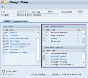 SAP System Status vs User Status – SINAU SAP PM MODULE
